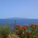 Kefalonia Apartments - Marias Studios In Spartia