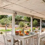 The Olive Tree Cottage