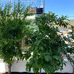 Citrus Apartment