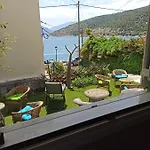 Sofia'S House