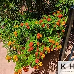 Thea Lassi 2 Bedroom Apartment, Garden Level