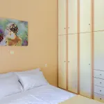Panos Studio Triple