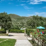 Anemona Studio 2