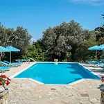 Anemona Studio 4