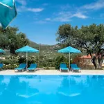 Anemona Studio 5
