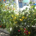 Olive Bay Hotel