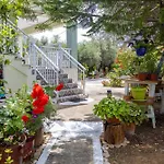 Sea & Olives House