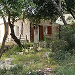 La Casa Tra Gli Alberi E Il Cottage