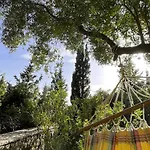La Casa Tra Gli Alberi E Il Cottage