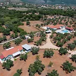 Villa Elia Kefalonia By Olea Villas