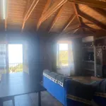 Stefania'S House