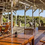 Costa Avithos