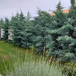 Alekos Beach Houses-Elia Villas