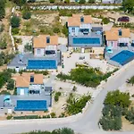 Villa Dandelion