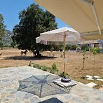 Memro Village House