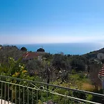 Palati