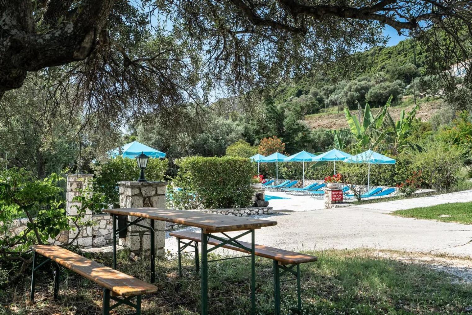 Anemona A *
