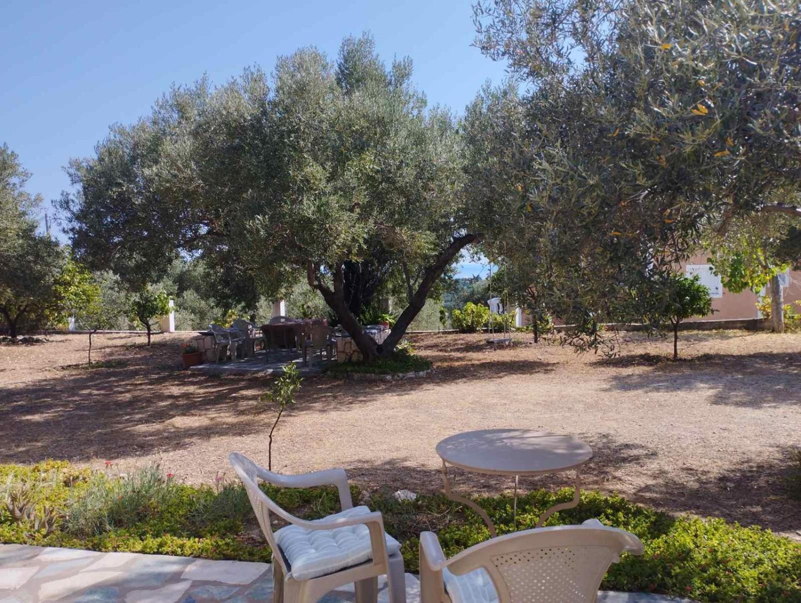 Apartmán Krini And Aroma - Garden & Private Parking Mousata